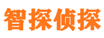 山西私家侦探